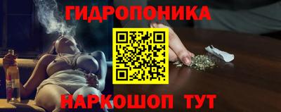 бошки Пенза